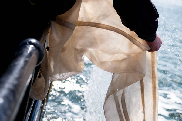 Zeilblog - Plastic expeditie op de Lauwerszee: schone manoeuvre voor de Waddenzee