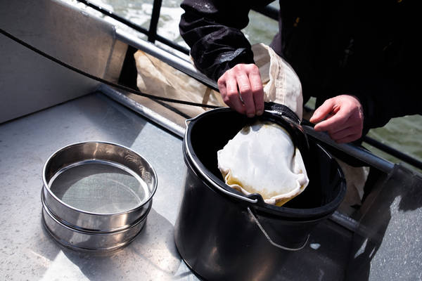 Zeilblog - Plastic expeditie op de Lauwerszee: schone manoeuvre voor de Waddenzee