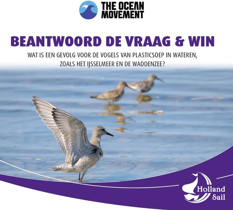 Prijsvraag TOM - Wat is een gevolg voor de vogels van plasticsoep in wateren, zoals IJsselmeer en Waddenzee?