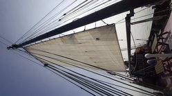 Foto van Elvi Perrée 