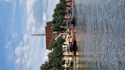 Foto van Evelin Plog