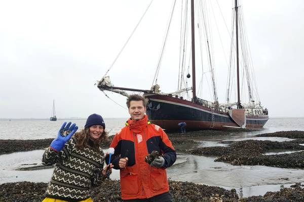 Zeilblog - De Slag in de Rondte 2025: De Welvaart trotseert wind en redt een onverwachte passagier