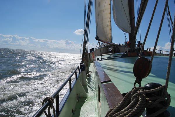 Zeilblog - Verandering in onze vloot: Morgana krijgt nieuwe eigenaar en schipper