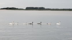 Foto van Katharina Mock 