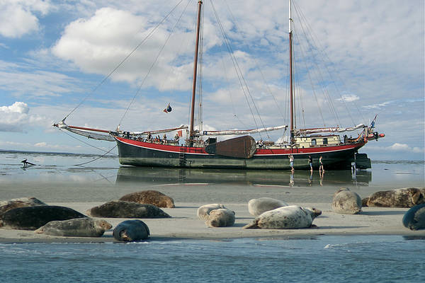 Zeilblog - Onze schepen & verhalen: Het verhaal van de Aegir