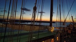 Foto van Angi Gellner