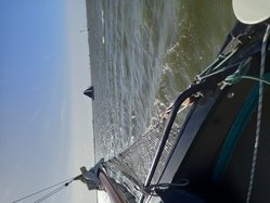 Foto van Andrë van Kampen