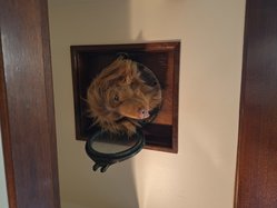 Foto van Caroline Evers 