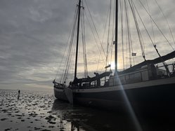 Foto van Friedensschule 
