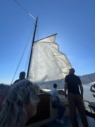 Foto van Desmet 