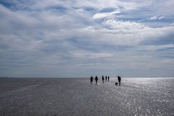 Foto van Peter van Liempt