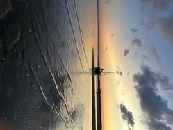 Foto van M.Meijer