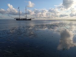 Foto van Martina 