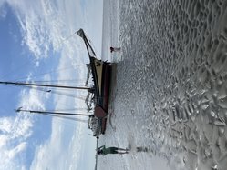 Foto van jan van driel