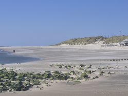 Foto van Boele de Bie